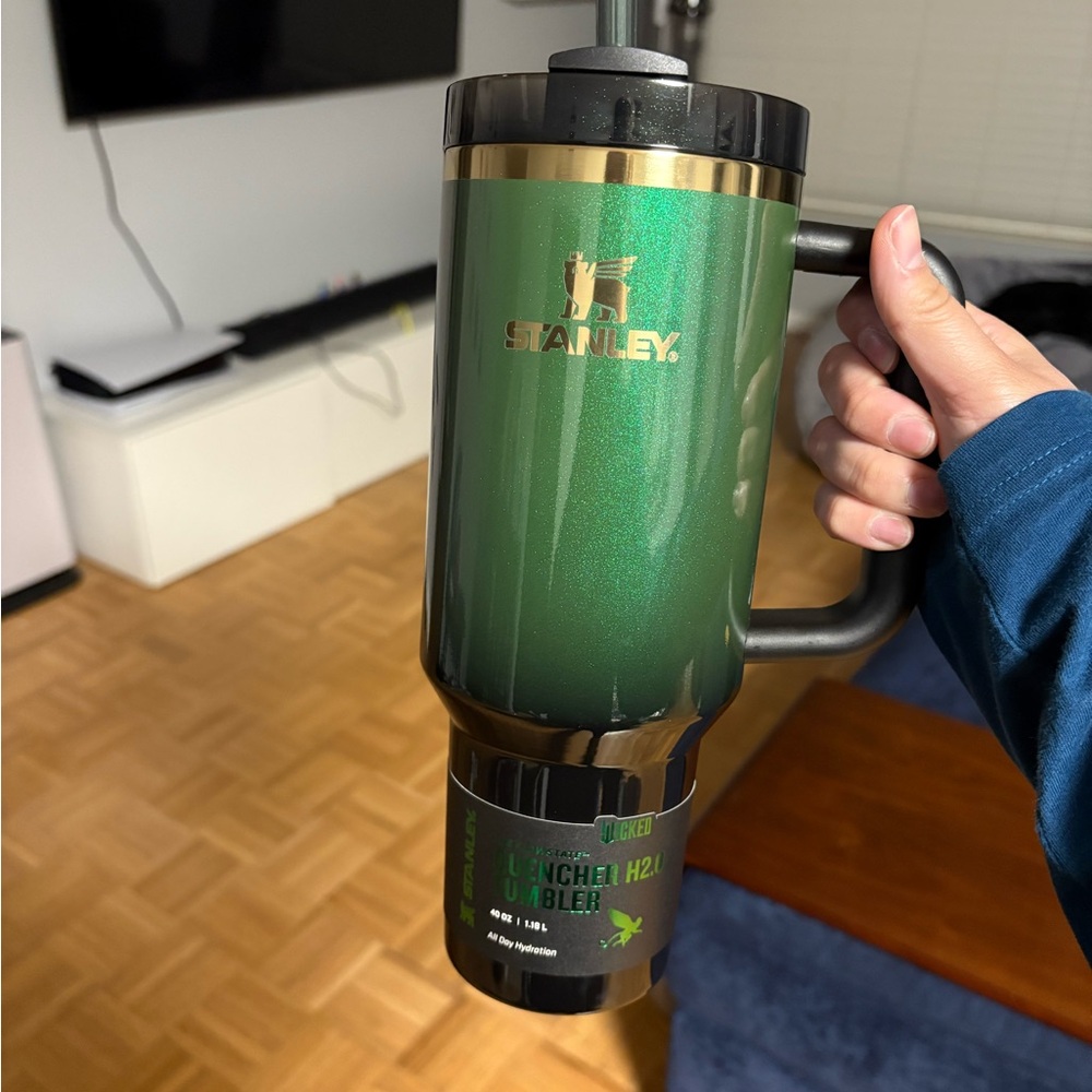 Wicked Elphaba Stanley